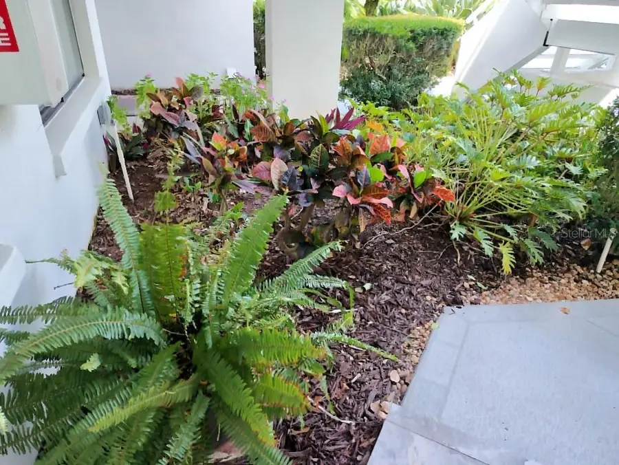 3549 Indigo Pond Drive, Palm Harbor, FL 34685 - #3