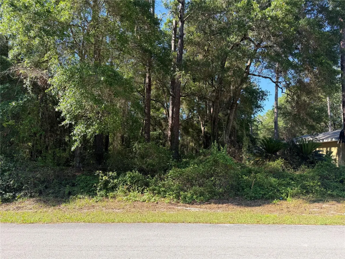 10927 N Airway Loop, Citrus Springs, FL 34434 - #1