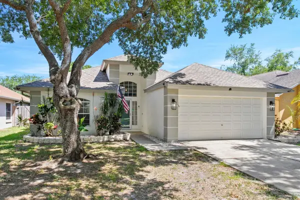 1603 Scotch Pine Drive, BRANDON, FL 33511