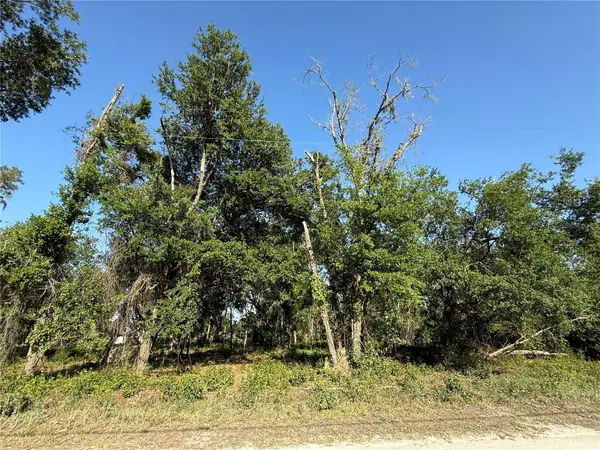 Owens Drive, ZEPHYRHILLS, FL 33540