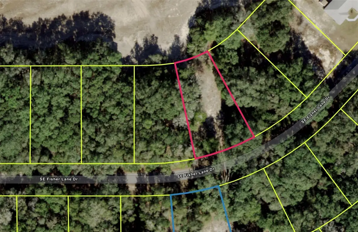 SE Fisher Lane Drive, Ocklawaha, FL 32179 - #1