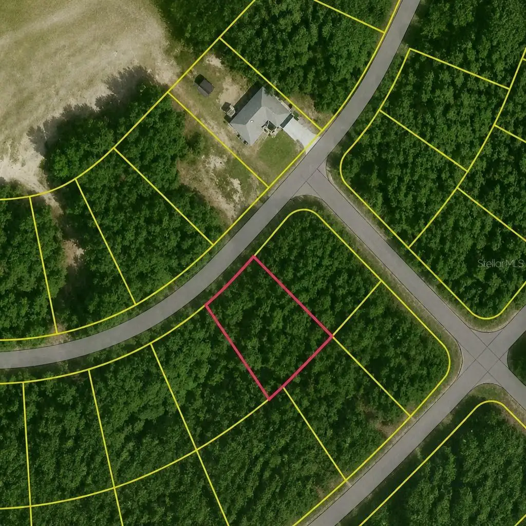 SE Fischer Lane Drive, Ocklawaha, FL 32179 - #1