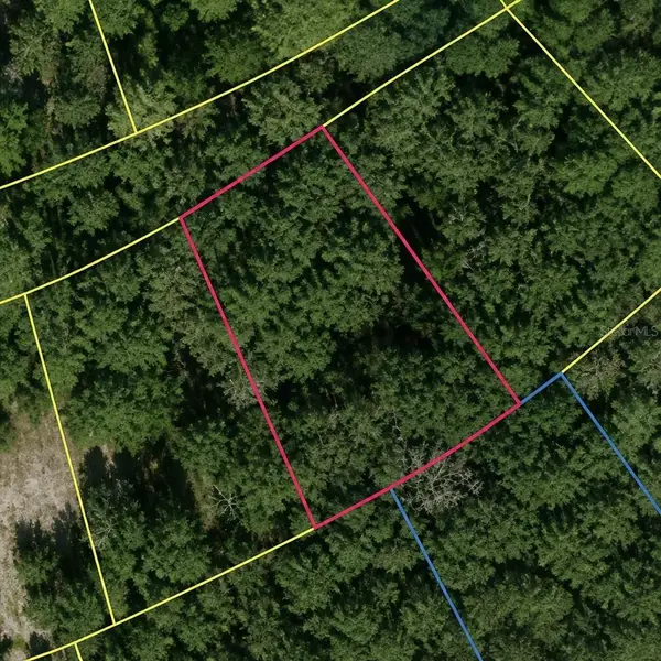 SE Fischer Lane Drive, OCKLAWAHA, FL 32179