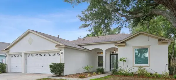 10113 Tantara Court, RIVERVIEW, FL 33578
