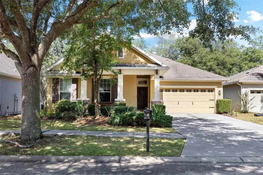 15841 Starling Water Drive, Lithia, FL 33547 - #2