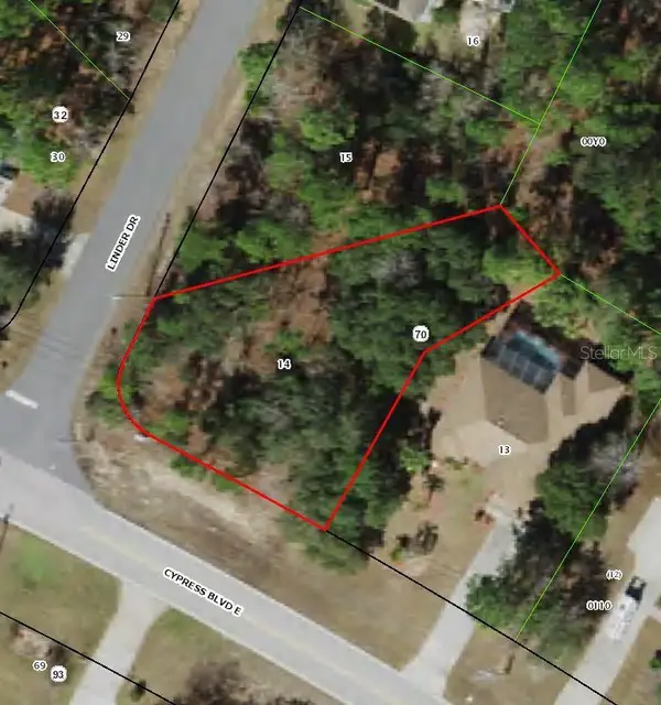 228 Linder Drive, HOMOSASSA, FL 34446