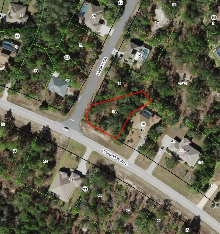 228 Linder Drive, Homosassa, FL 34446 - #2