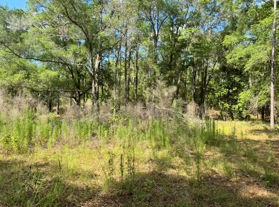 15570 Cliff Swallow Road, Weeki Wachee, FL 34614 - #3