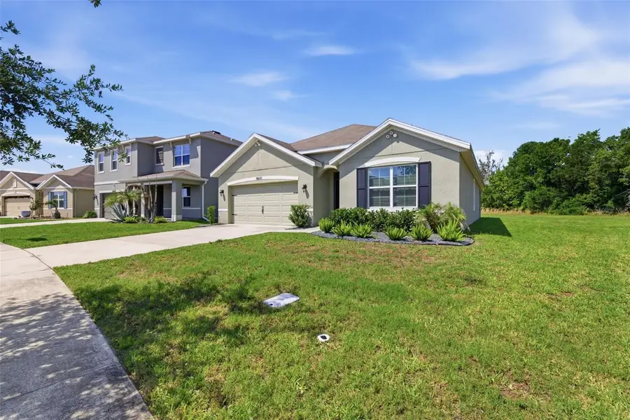 30685 Summer Sun Loop, Wesley Chapel, FL 33545 - #3