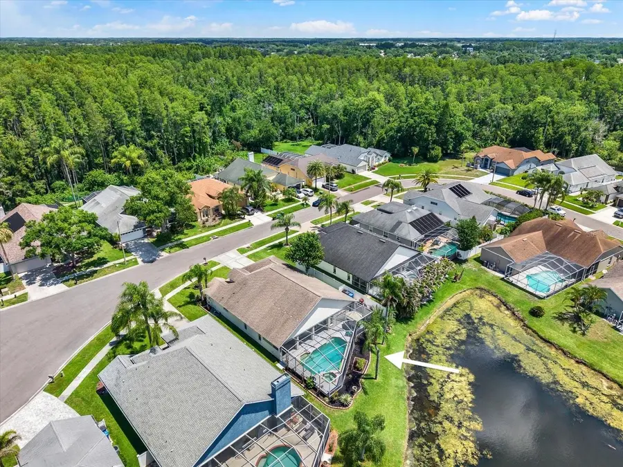 9042 Breland Drive, Tampa, FL 33626 - #3