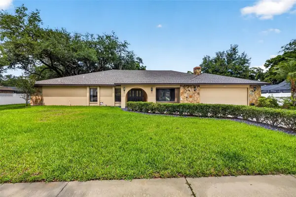 11004 Theresa Arbor Drive, TEMPLE TERRACE, FL 33617