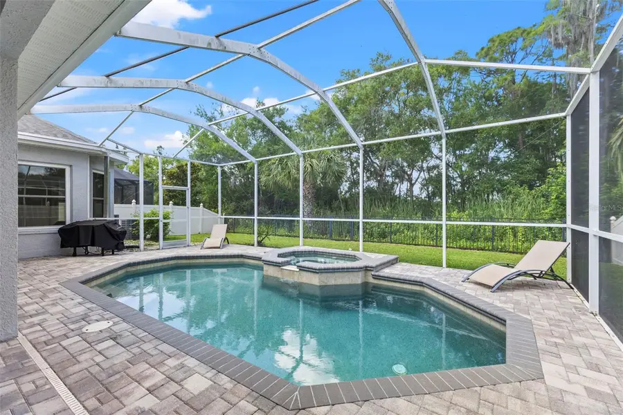 11621 Renaissance View Court, Tampa, FL 33626 - #2