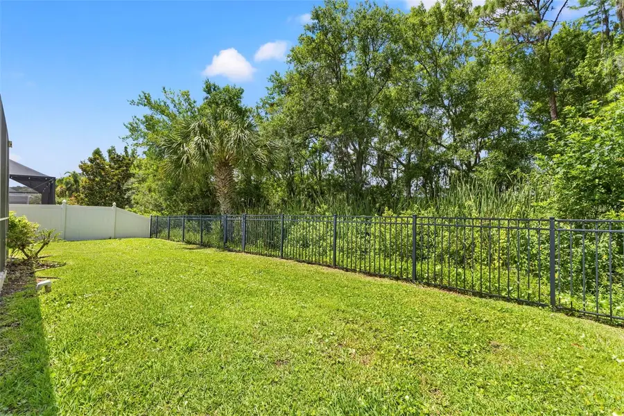 11621 Renaissance View Court, Tampa, FL 33626 - #3