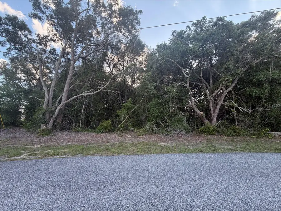 Lot 4, Ocala, FL 34473 - #3