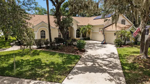 2528 Centennial Falcon Dr, VALRICO, FL 33596