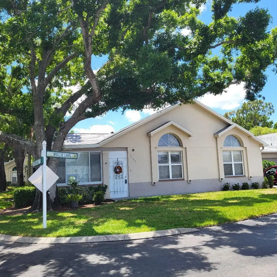 3709 Mollie Lane, Ruskin, FL 33573 - #2