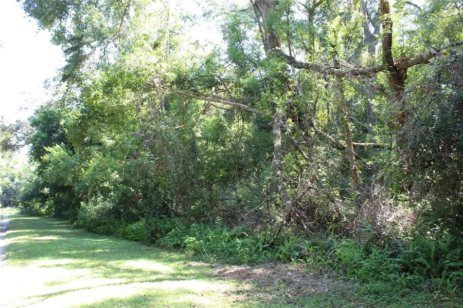 Grand Avenue, Brooksville, FL 34604 - #3
