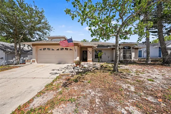 803 High Point Court, TARPON SPRINGS, FL 34689