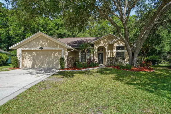3319 Laurelwood Court, TARPON SPRINGS, FL 34688