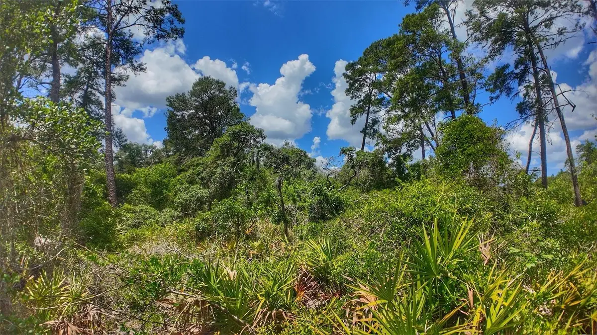 0 Lot 0370, New Port Richey, FL 34654 - #1