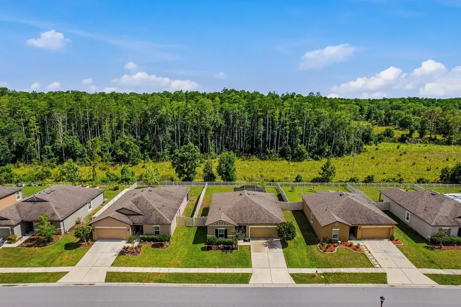 18738 Alfaro Loop, Spring Hill, FL 34610 - #3