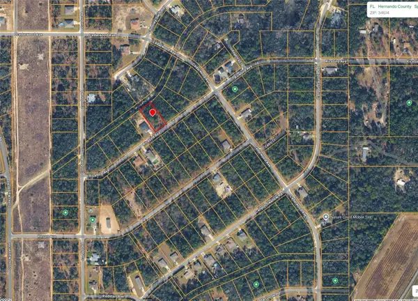 14041 Ricebird Avenue, WEEKI WACHEE, FL 34614
