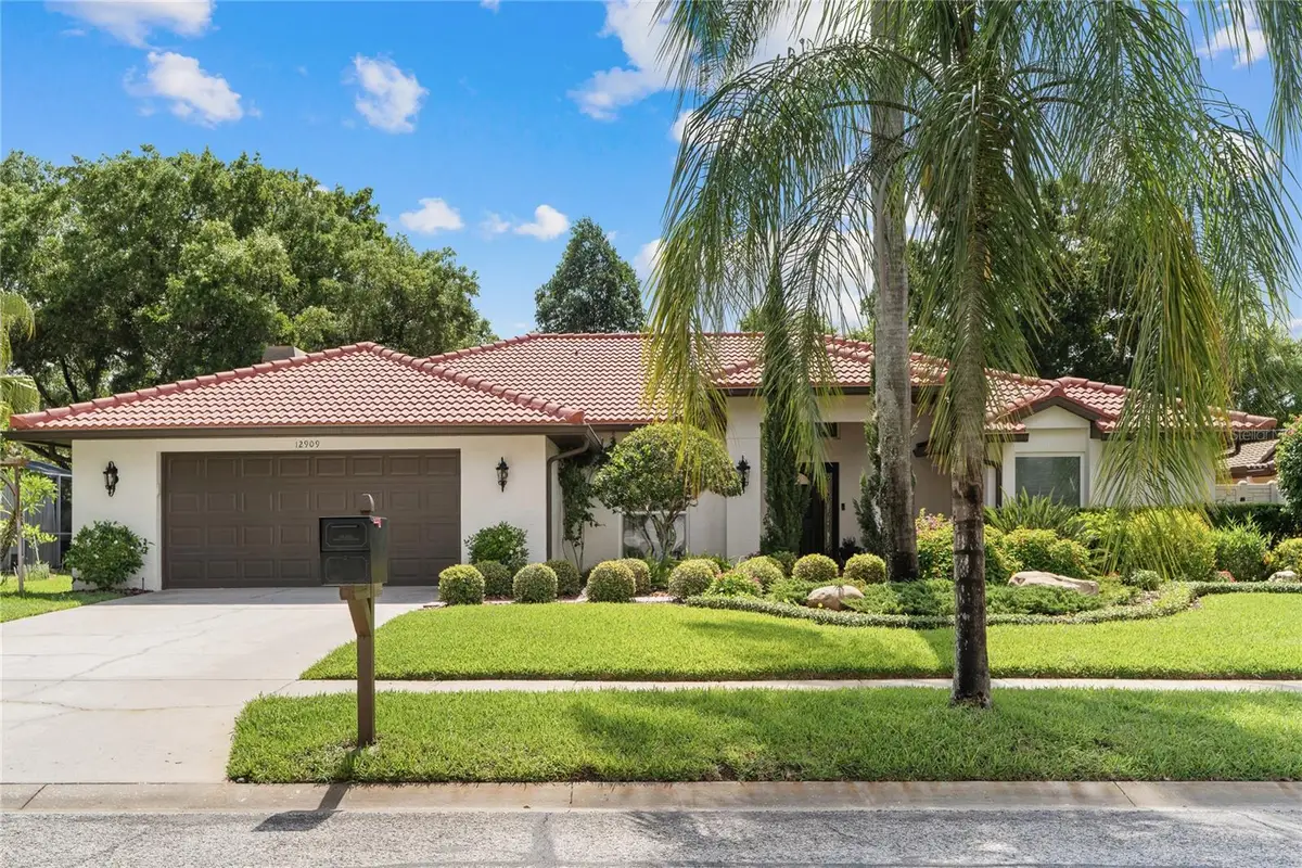 12909 Cinnimon Place, Tampa, FL 33624 - #1