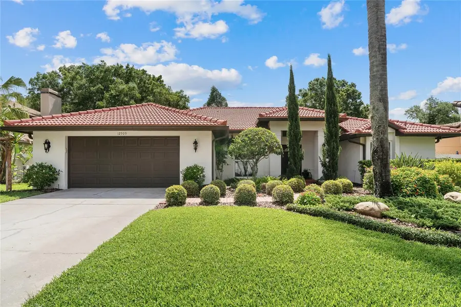 12909 Cinnimon Place, Tampa, FL 33624 - #2