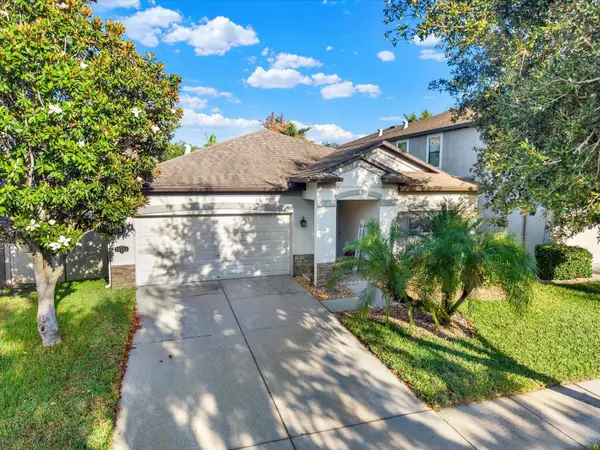 11513 Blue Crane Street, RIVERVIEW, FL 33569
