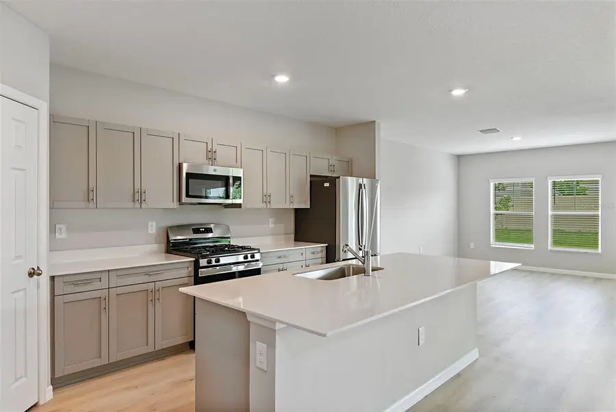 31670 Baronne Street, Wesley Chapel, FL 33545 - #2