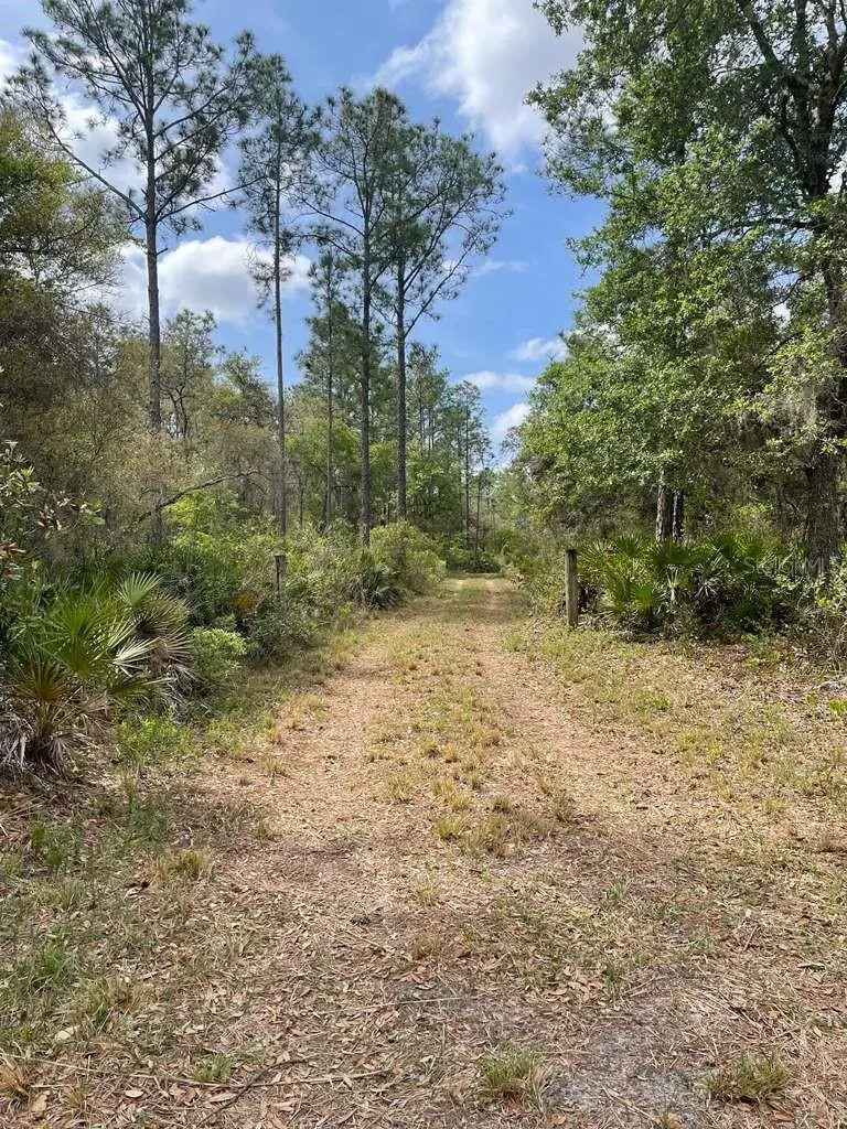 E Hwy 318, Citra, FL 32113 - #1