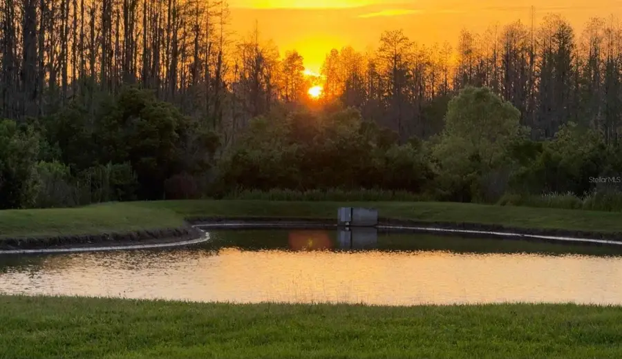 19238 Weymouth Drive, Land O Lakes, FL 34638 - #3