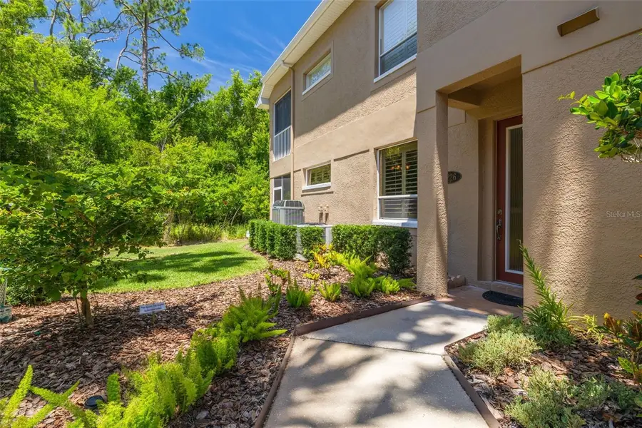 4226 Preserve Place, Palm Harbor, FL 34685 - #3