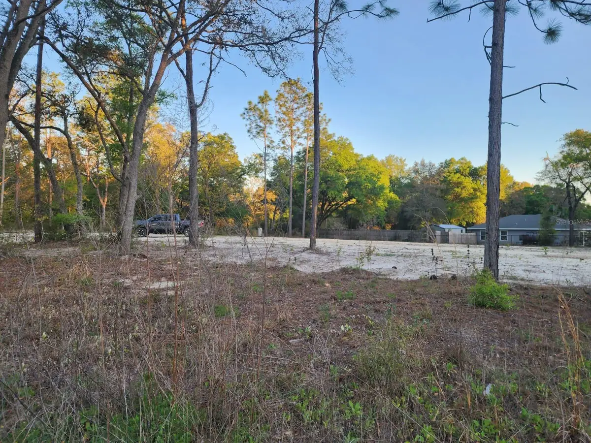 SW 110th Court, Dunnellon, FL 34432 - #1