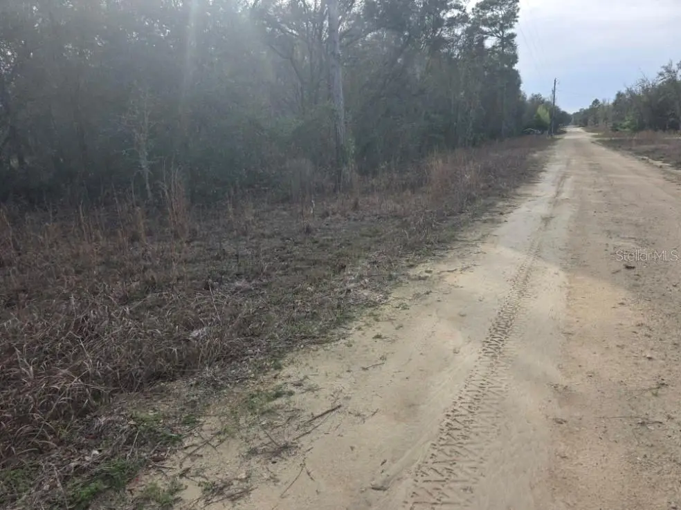 NE 60 Place, Bronson, FL 32621 - #1