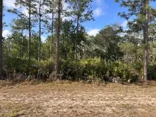 1013 (BLK 299 LOT 18) Alba Drive, Indian Lake Estates, FL 33855 - #1