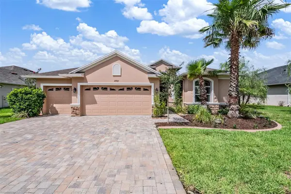 27205 Hawks Nest Circle, WESLEY CHAPEL, FL 33544