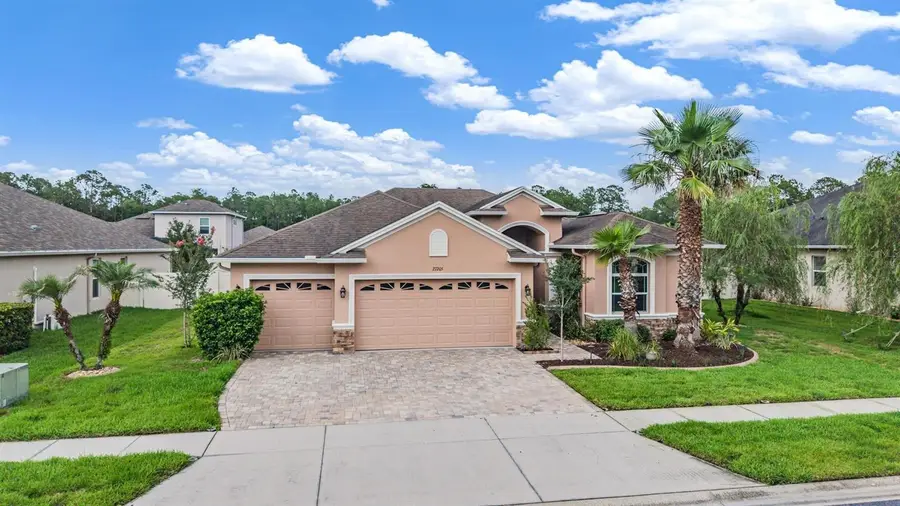 27205 Hawks Nest Circle, Wesley Chapel, FL 33544 - #3