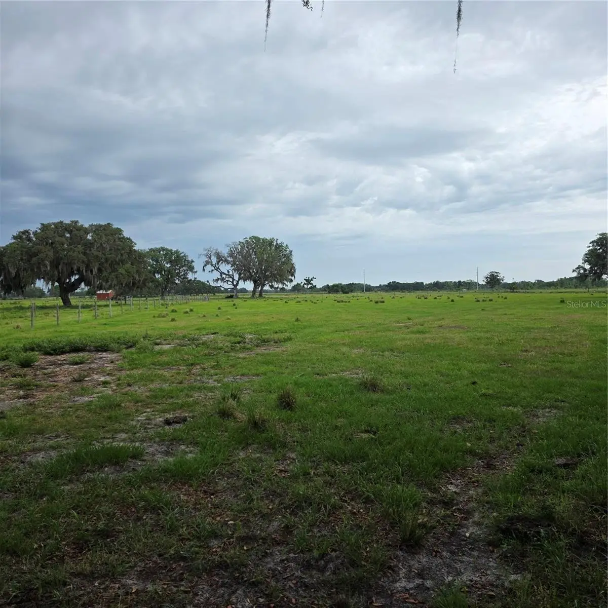 Vernon Dairy, Spring Hill, FL 34610 - #1