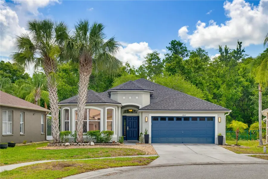 10842 Wild Cotton Court, Land O Lakes, FL 34638 - #2