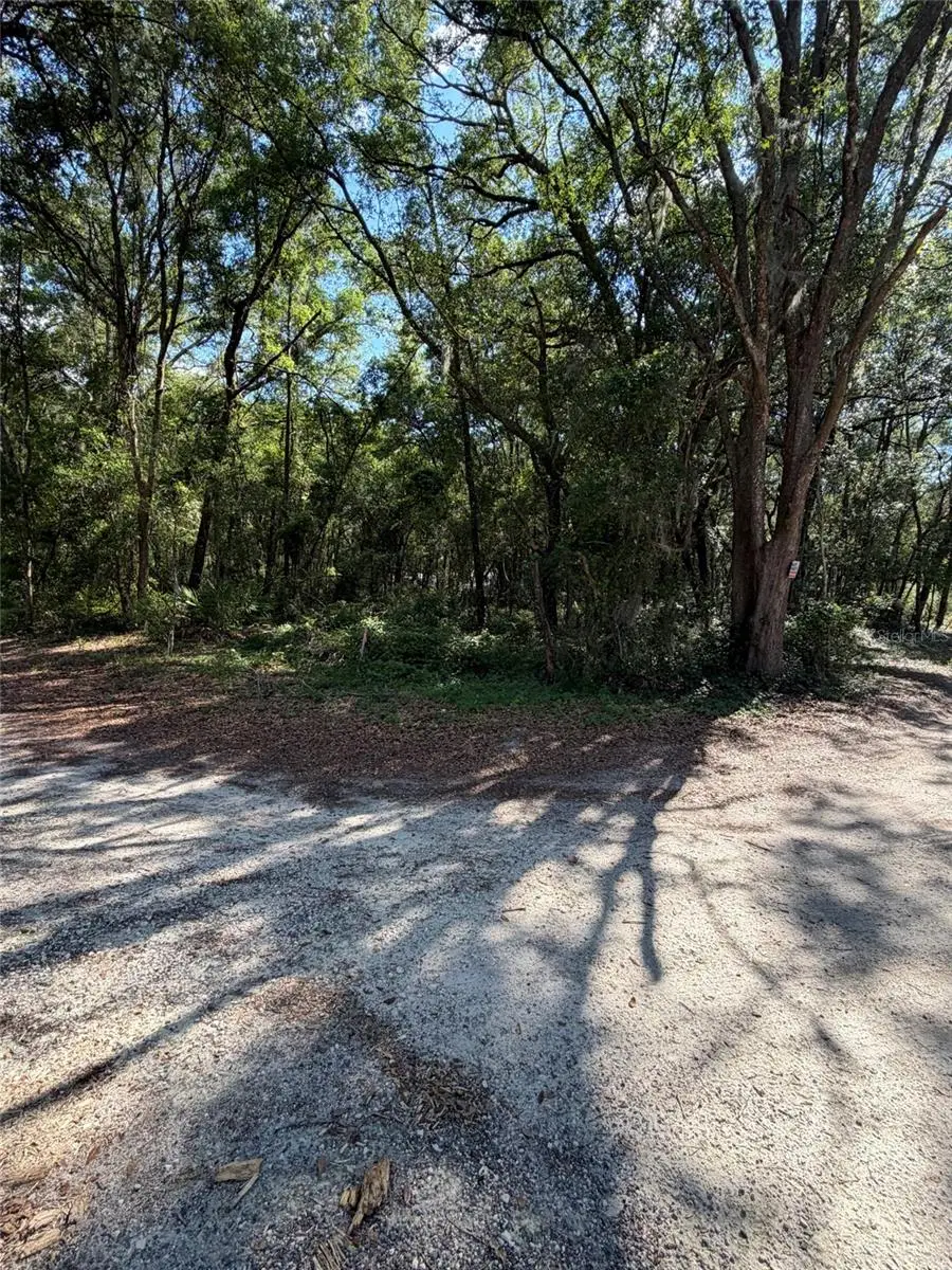 0 SW 146th Place #328, Dunnellon, FL 34432 - #3