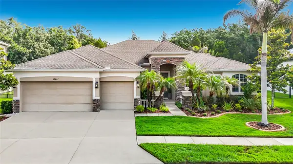 15401 Azra Drive, ODESSA, FL 33556