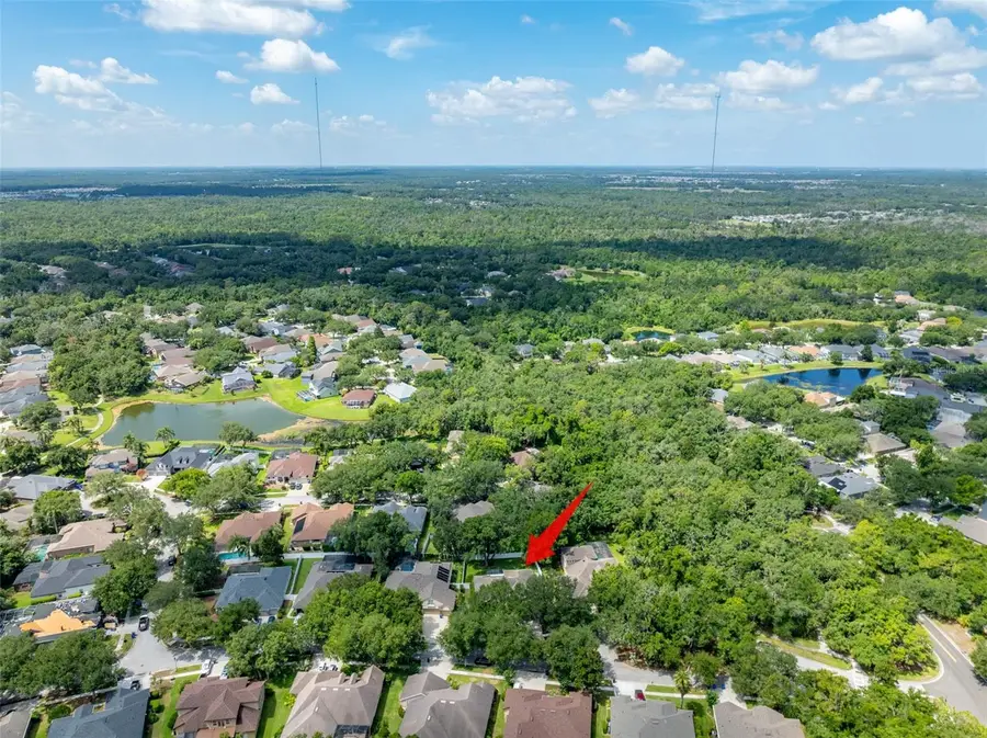 15211 Merlinglen Place, Lithia, FL 33547 - #3