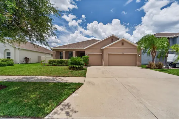 11621 Tetrafin Drive, RIVERVIEW, FL 33579