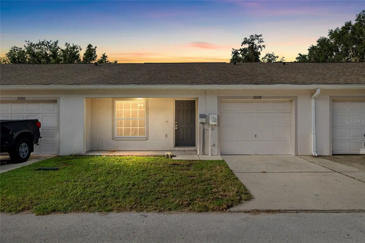 37228 Grassy Hill Lane, Dade City, FL 33525 - #1
