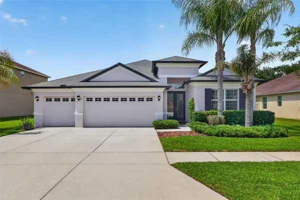 27225 Sora Boulevard, WESLEY CHAPEL, FL 33544