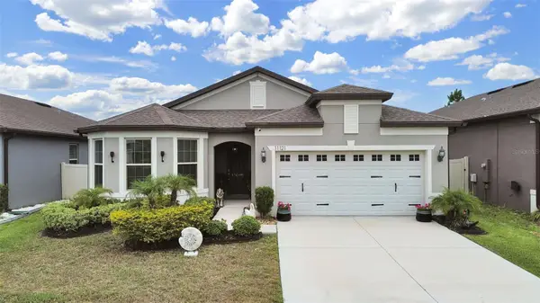 11121 Green Harvest Drive, RIVERVIEW, FL 33578
