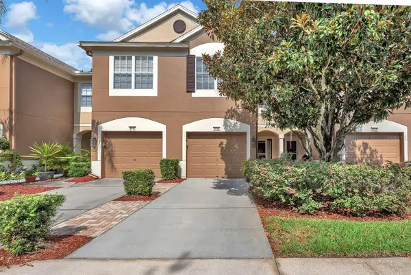 8448 Sandy Beach Street, TAMPA, FL 33634
