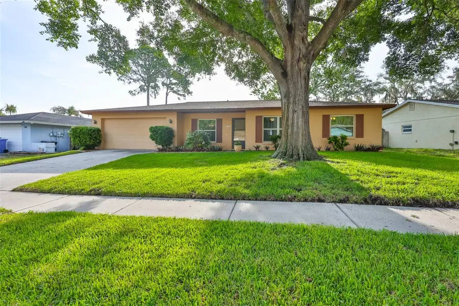 3718 Sand Pebble Drive, Valrico, FL 33596 - #2