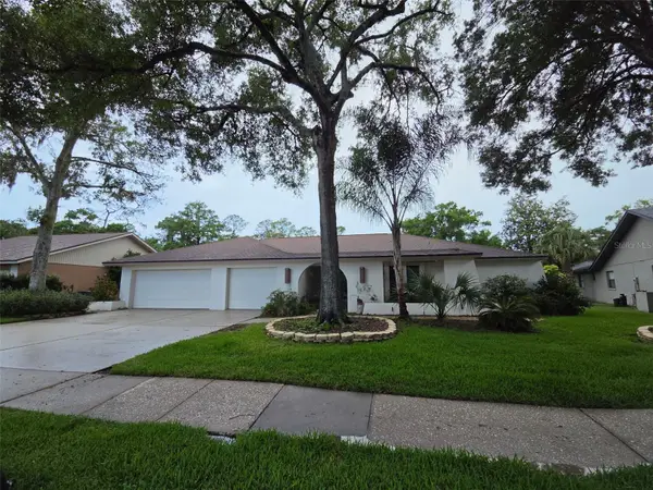3126 Edgemoor Drive, PALM HARBOR, FL 34685